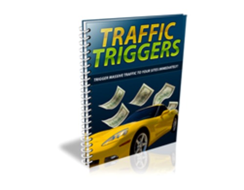 Product picture Traffic Trigger 2015